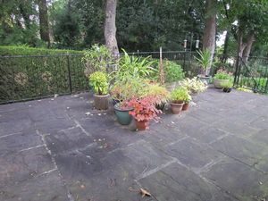 Rear Garden- click for photo gallery